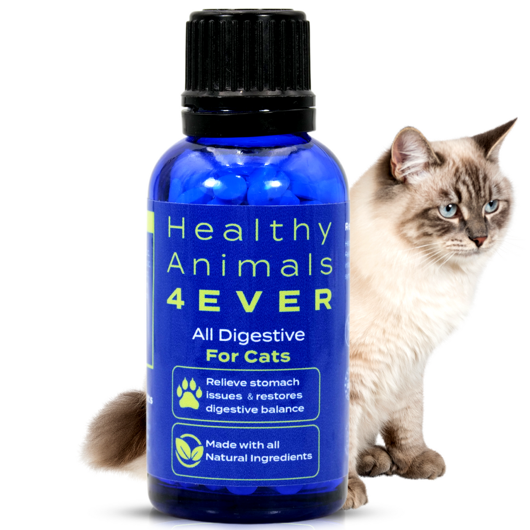 All Digestive - Cats Triple Pack- Save 30%