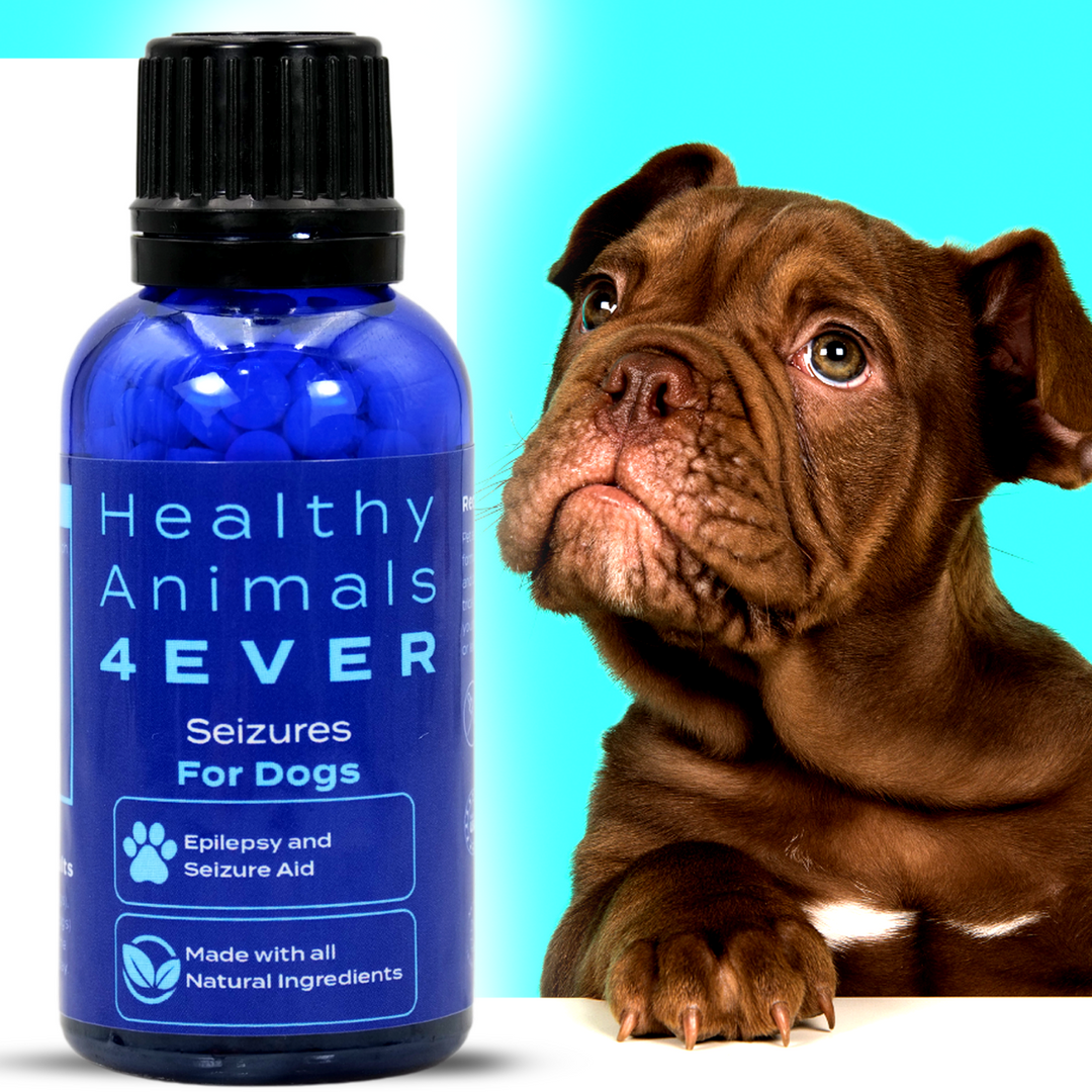 Seizures - Dogs Triple Pack- Save 30%