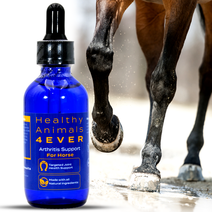 HORSE ARTHRITIS SUPPORT(Liquid)