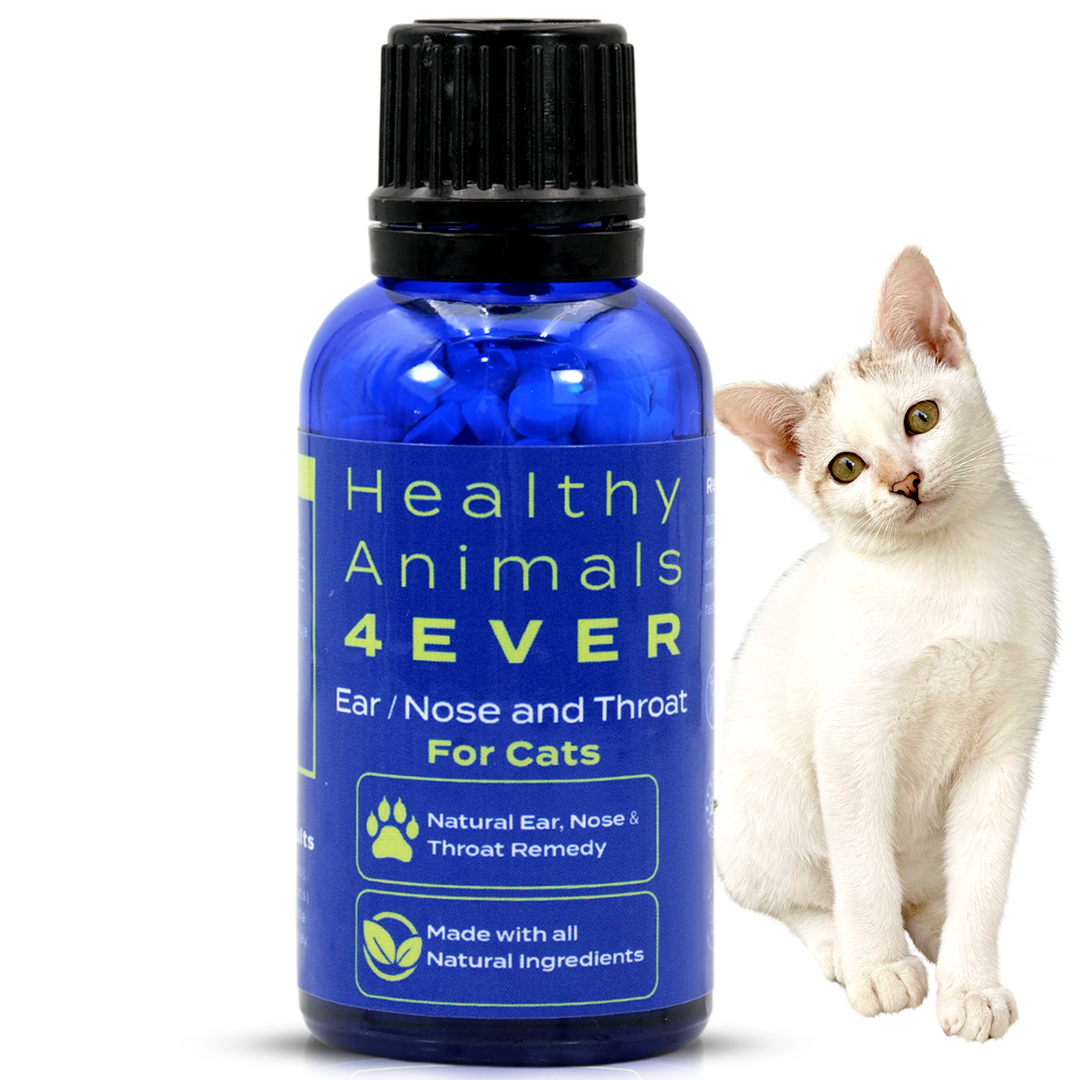 Ear Nose and Throat - Cats Triple Pack- Save 30%