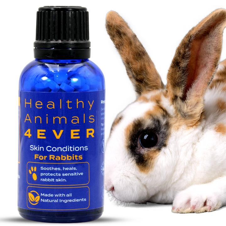 Skin Condition Remedy for Rabbits Triple Pack- Save 30%