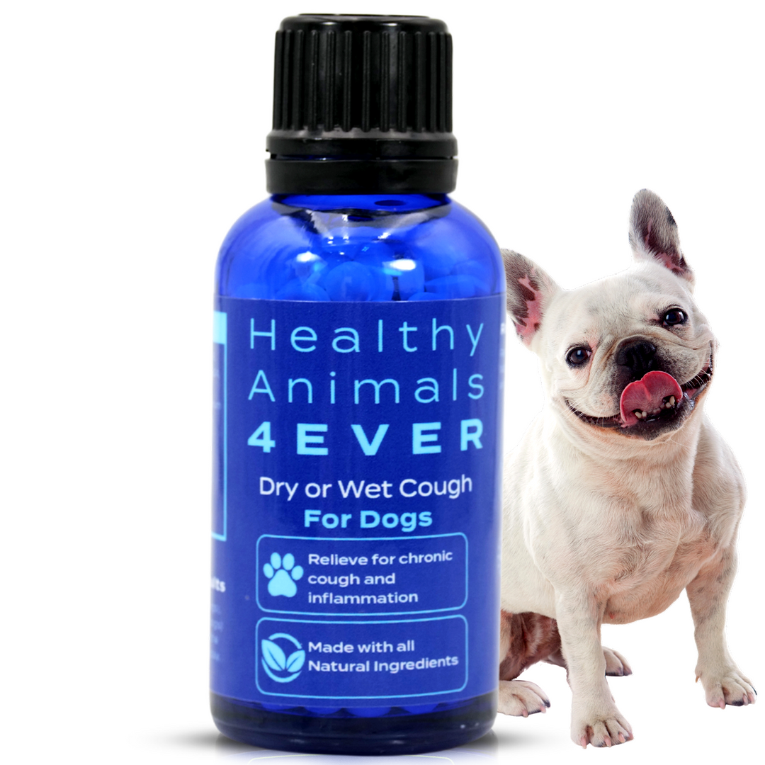 Dry or Wet Cough Formula for Dogs  Triple Pack- Save 30%