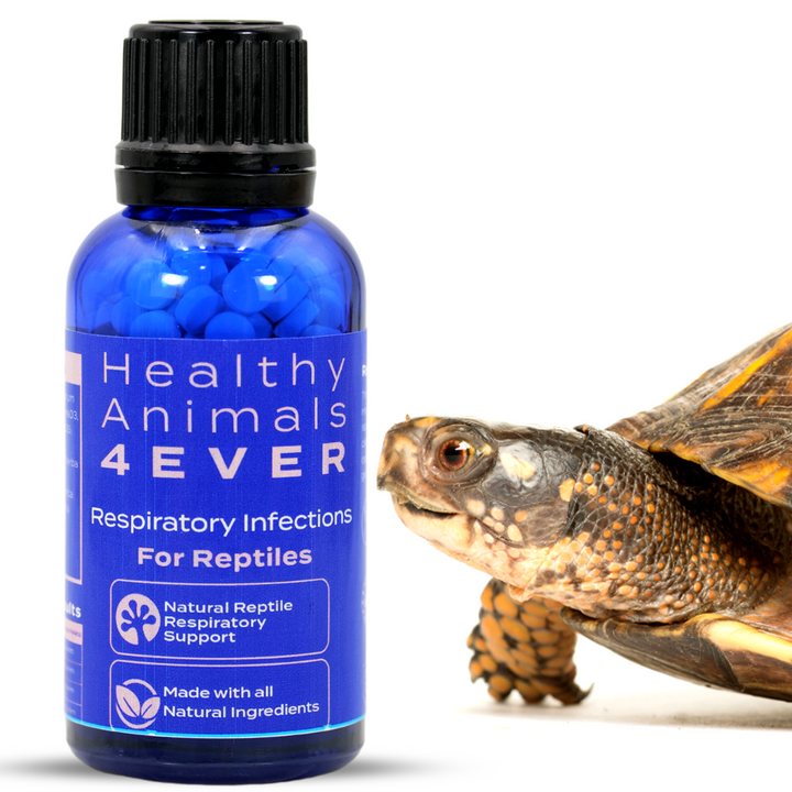 Natural Reptile Respiratory Support Triple Pack- Save 30%