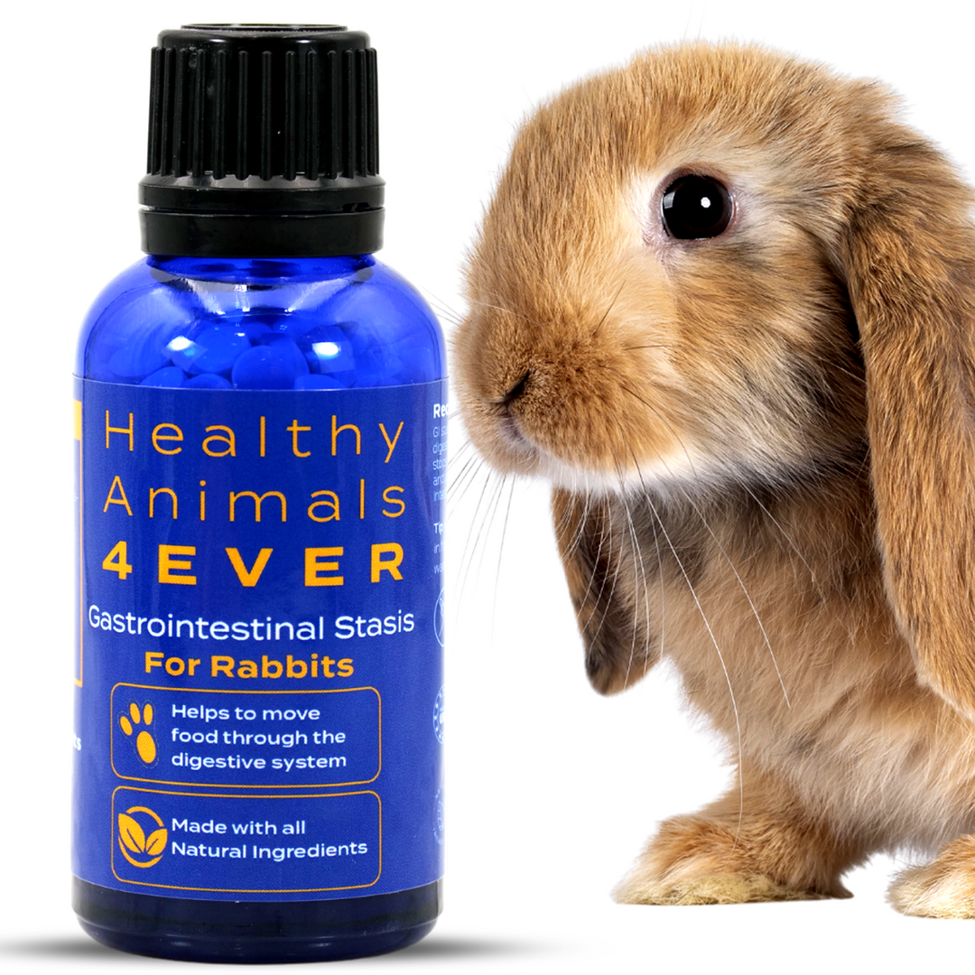 Gastrointestinal Stasis Relief for Rabbits Triple Pack- Save 30%