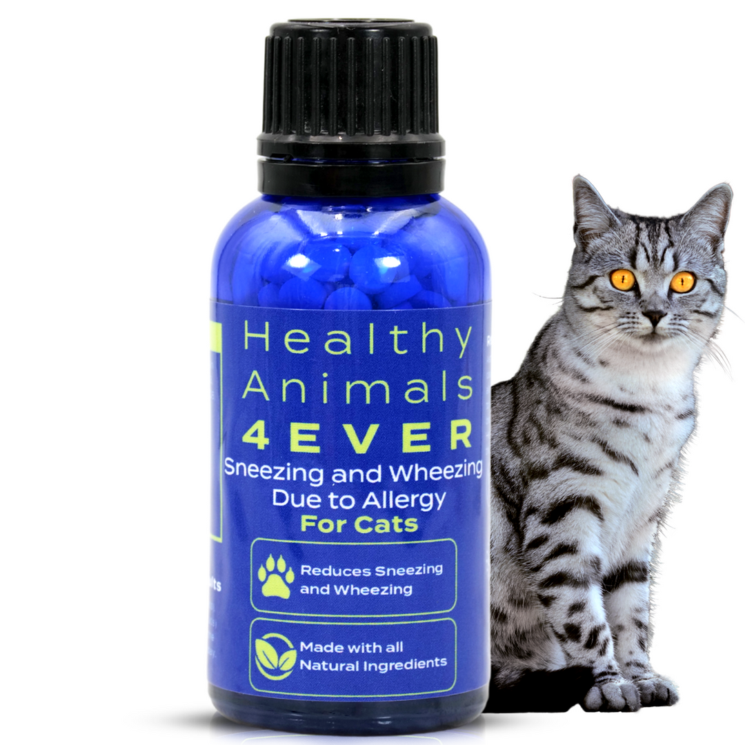 Sneezing and Wheezing Due to Allergy Formula for Cats, 300 Tablets, 30-Day Supply