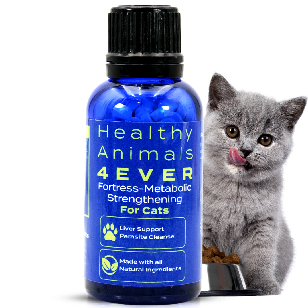 Fortress-metabolic Strengthening Formula for Cats