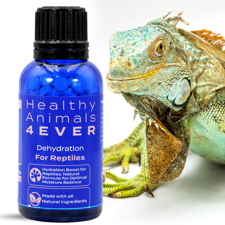 Hydration Boost for Reptiles: Natural Formula for Optimal Moisture Balance