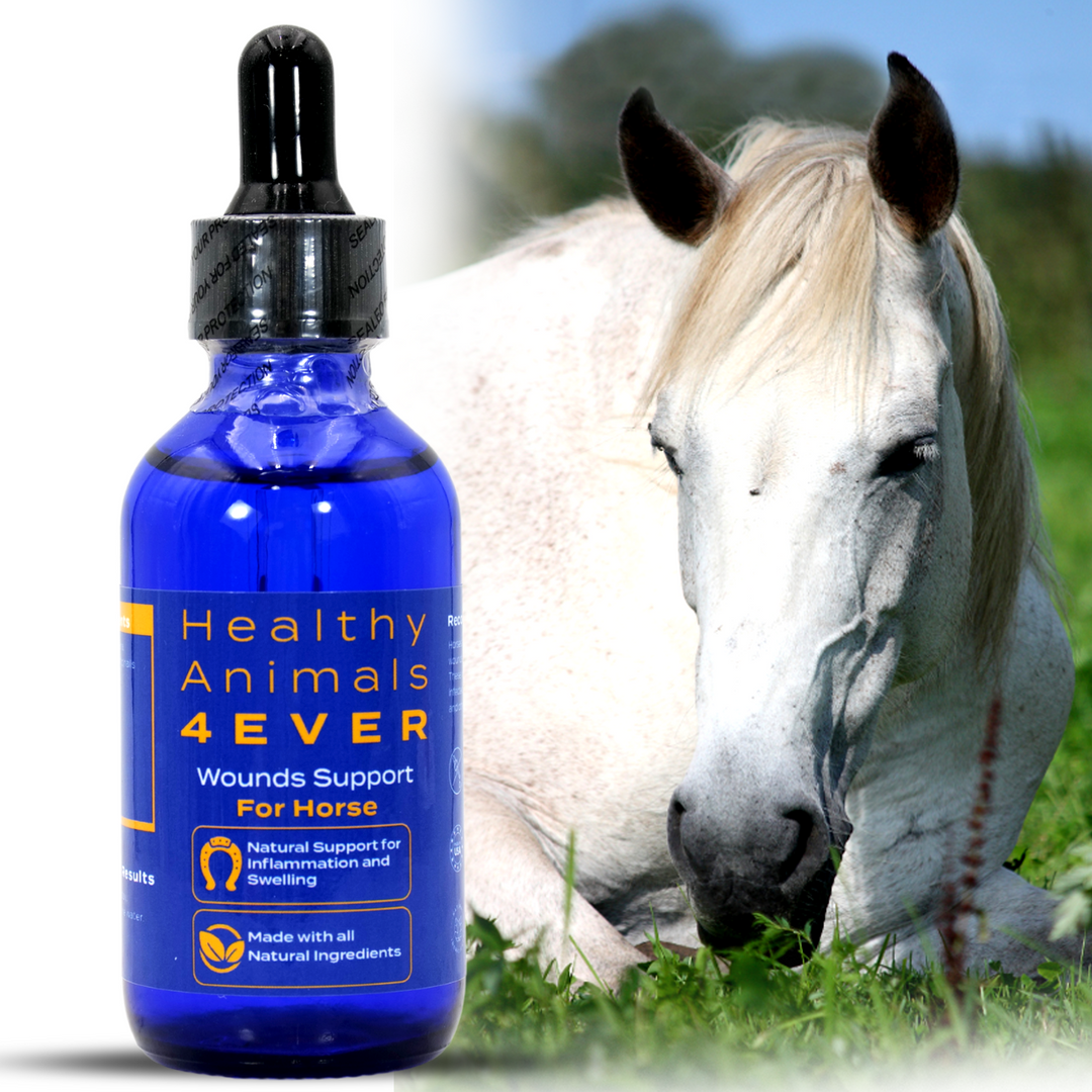 HORSE WOUNDS SUPPORT(Liquid)Triple Pack- Save 30%