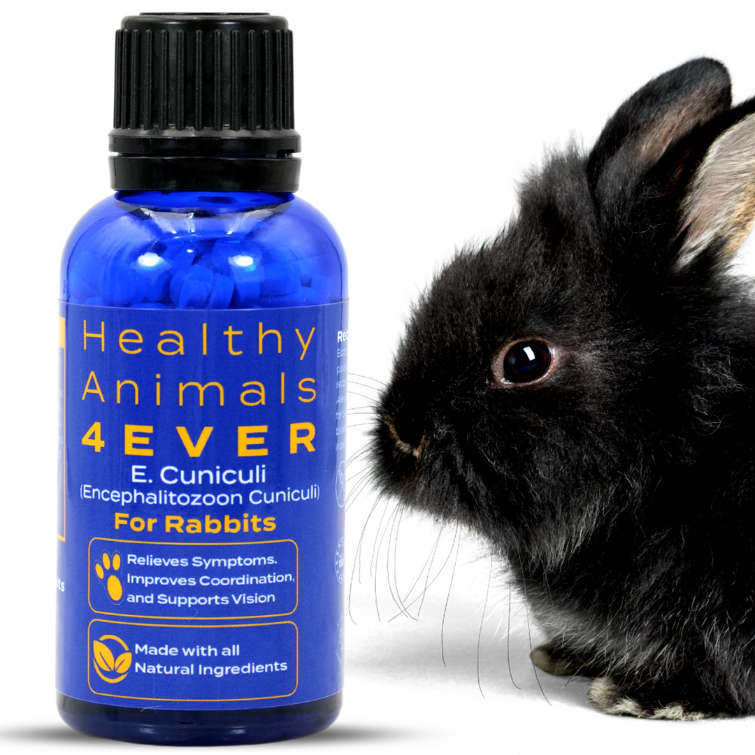 E. cuniculi (Encephalitozoon cuniculi) Remedy for Rabbits Six Pack- Save 50%