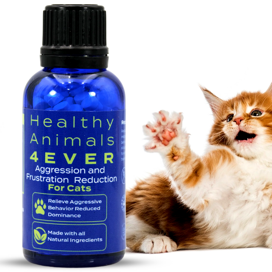 Comprehensive Homeopathy Guide for Rabbit Owners: Natural Remedies for ...