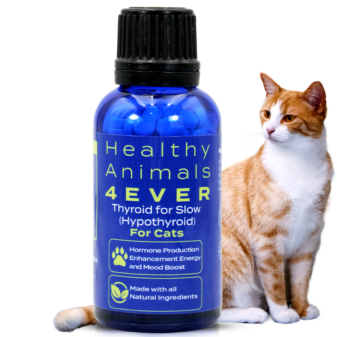 Natural Hypothyroidism Support Formula for Cats, 300 Pellets, 30-Day Supply