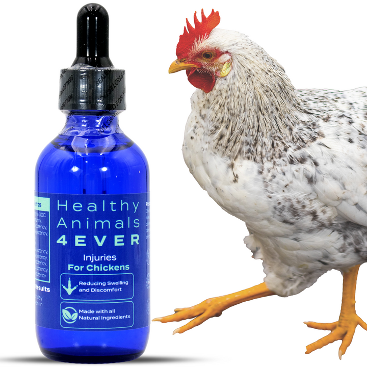 HEALTHYANIMALS4EVER ALL-NATURAL CHICKEN INJURY SUPPORT (Liquid)