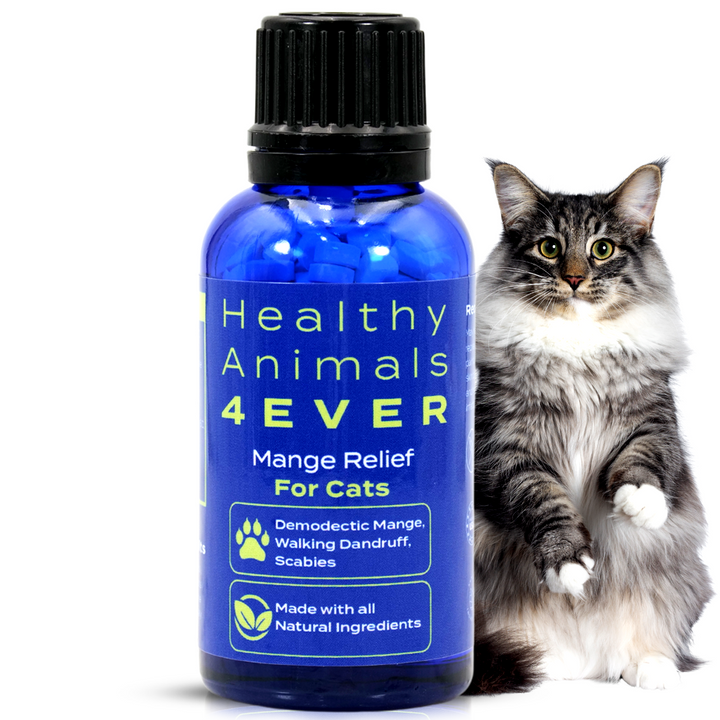 Mange Remedy for Cats - Natural Support for Itchiness, Scabs, & Hair Loss Caused by Mites