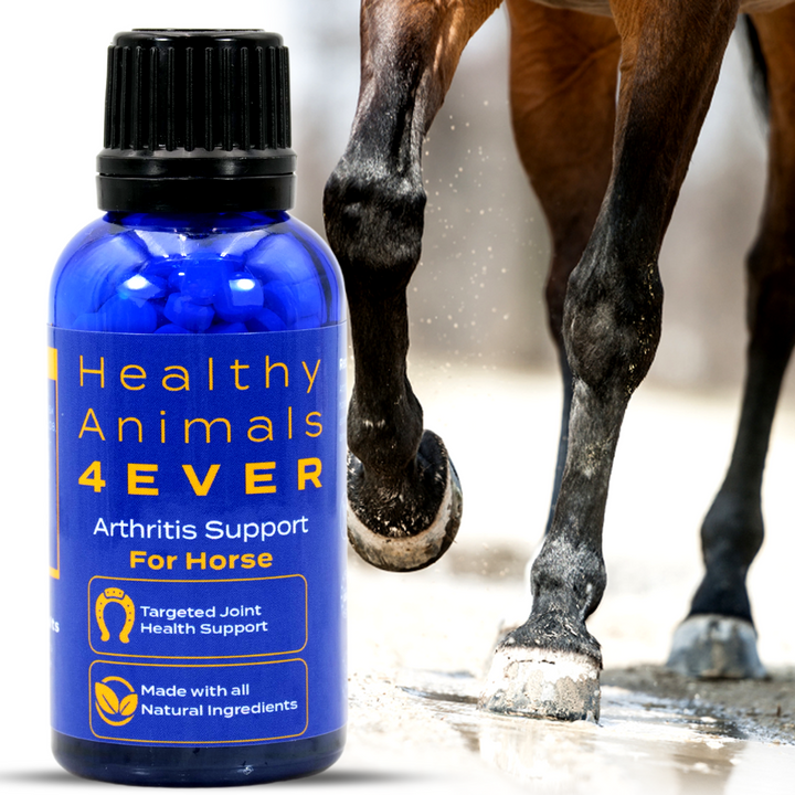 HORSE ARTHRITIS PRODUCT Triple Pack- Save 30%