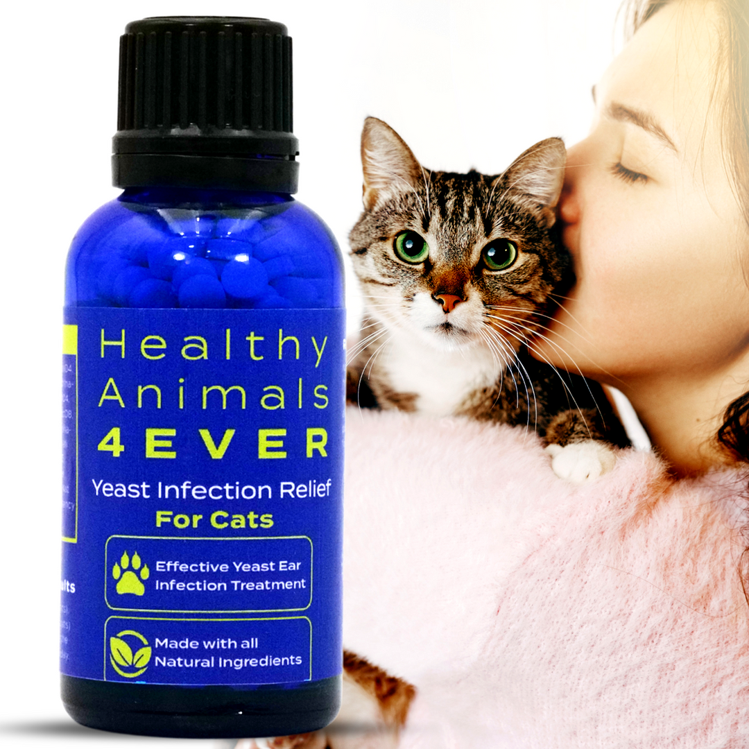 Yeast Infection Relief for Cats