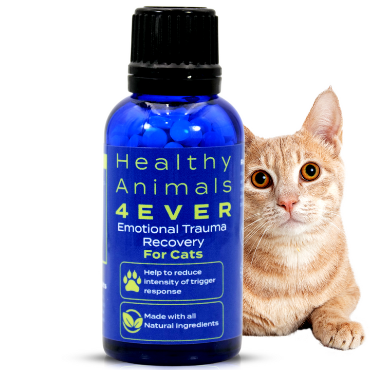 Emotional Trauma Recovery - Cats  Triple Pack- Save 30%