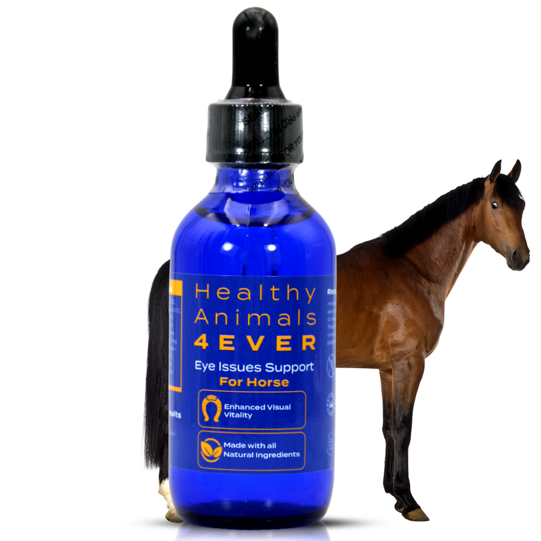 HORSE EYE ISSUES SUPPORT FOR HORSE (Liquid)