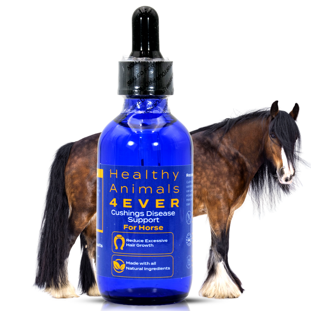 HORSE CUSHING DISEASE SUPPORT (Liquid)