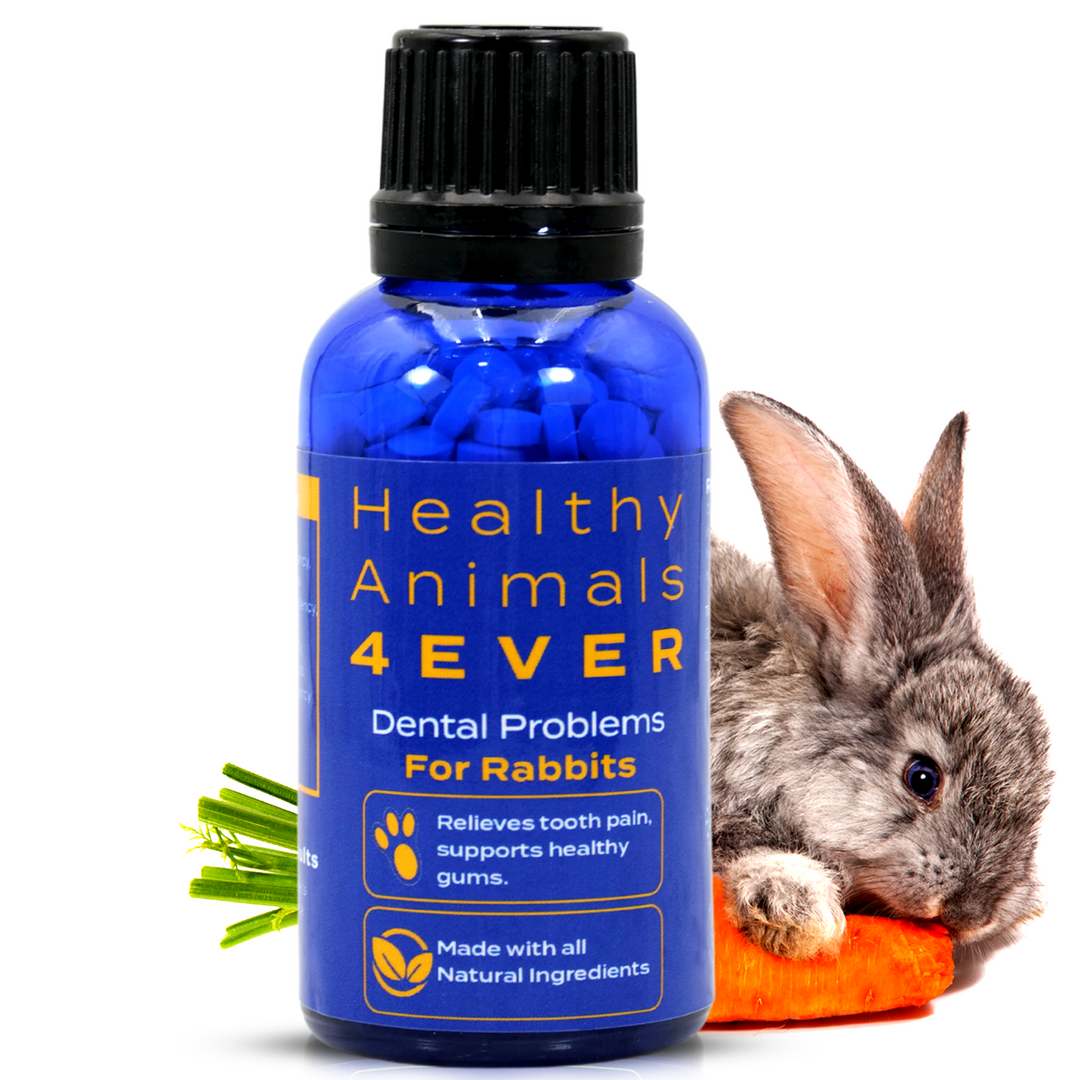 Dental Problems Remedy for Rabbits  Triple Pack- Save 30%