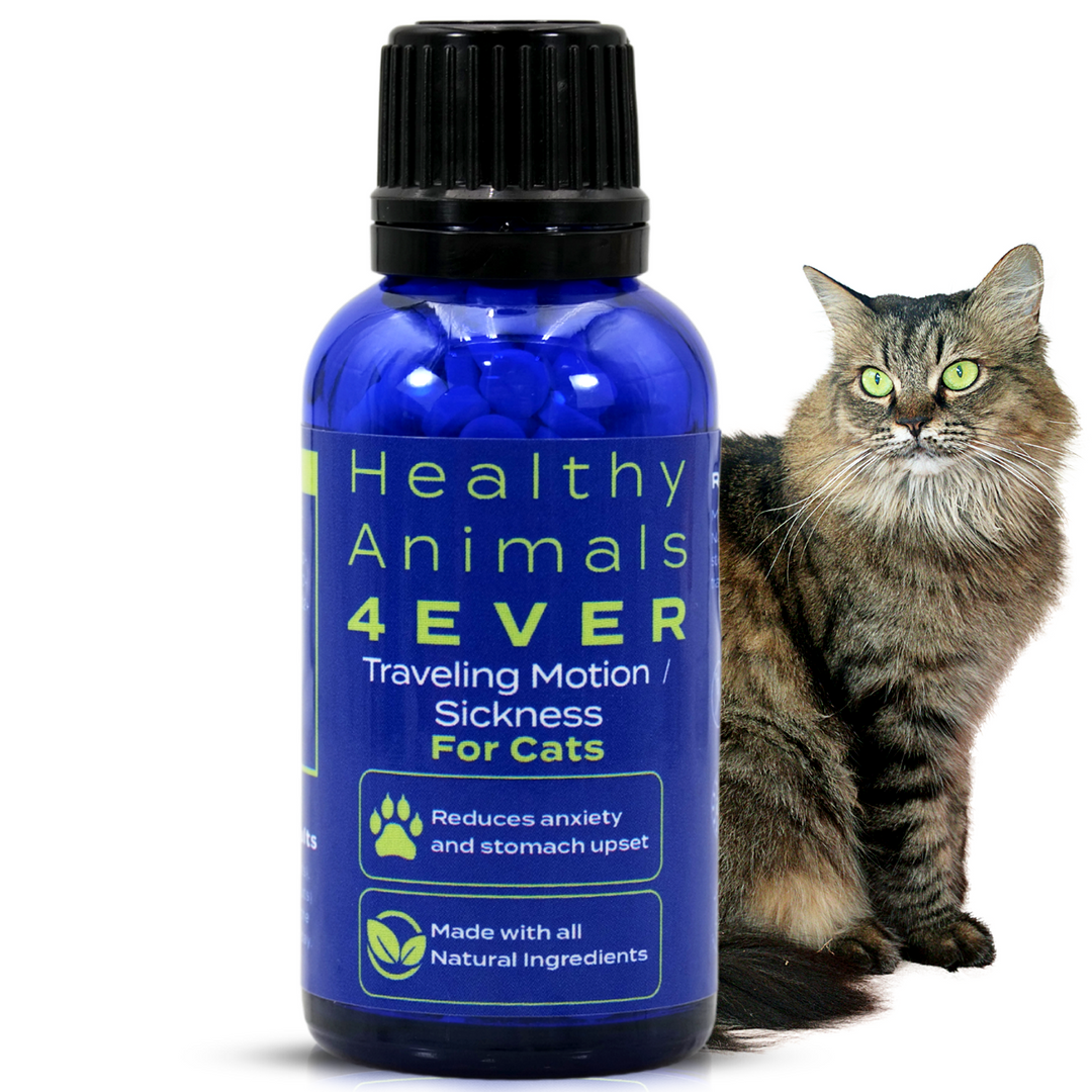 Traveling/Motion Sickness Support Formula for Cats, 300 Tablets, 30-Day Supply