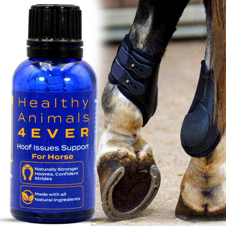 HORSE HOOF SUPPORT Triple Pack- Save 30%