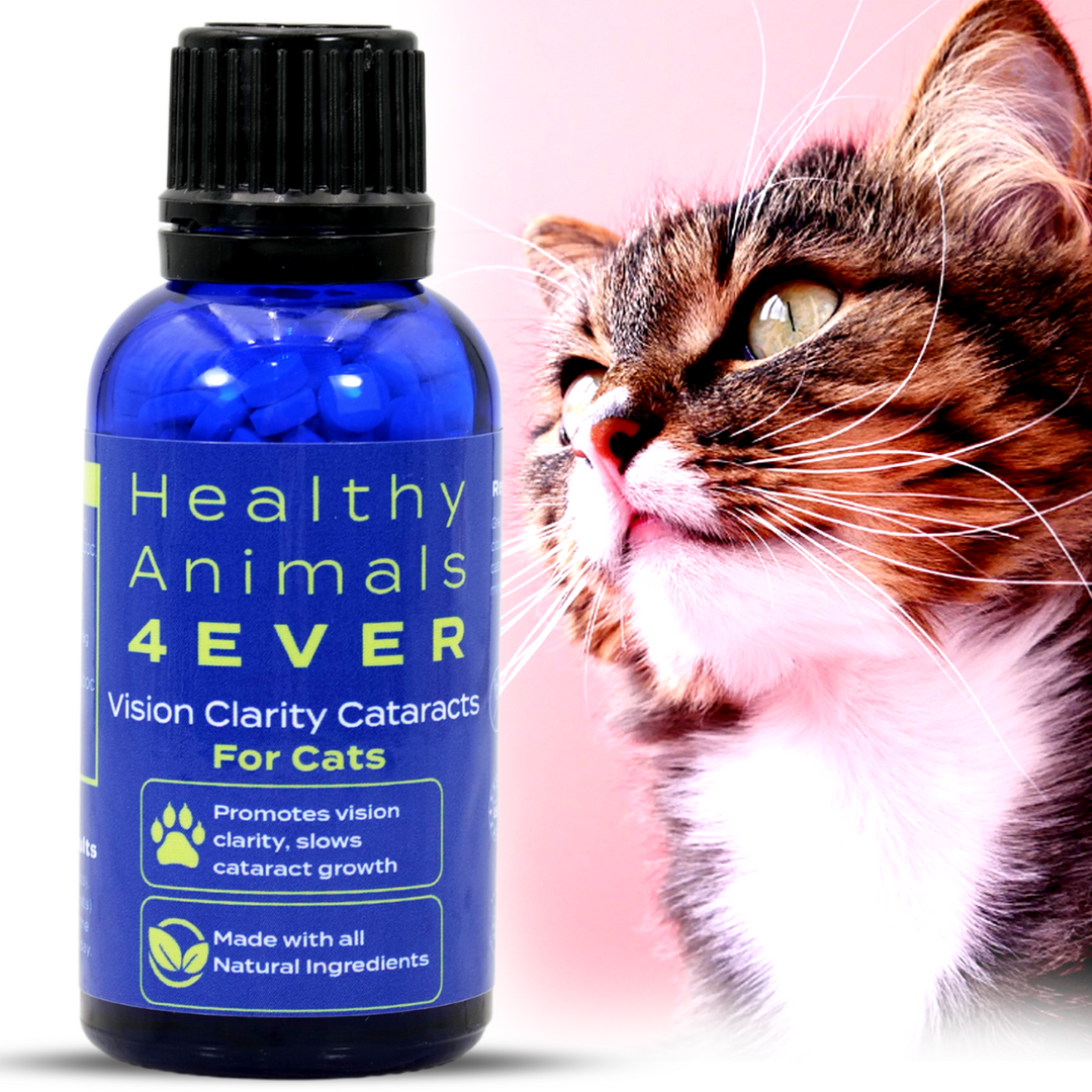 Vision Clarity/Cataracts Support Formula for Cats Triple Pack- Save 30%