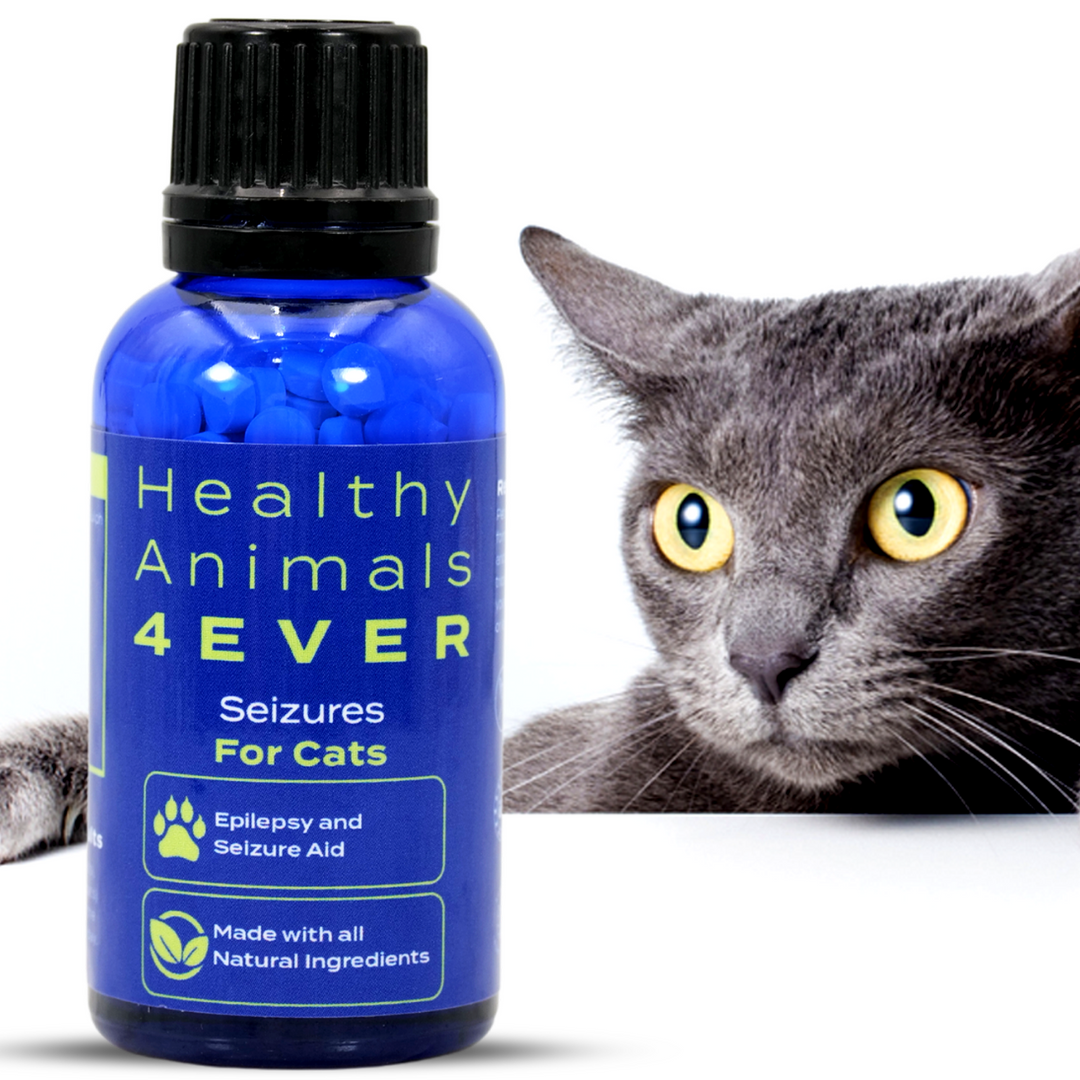 Seizures - Cats Six Pack- Save 50%