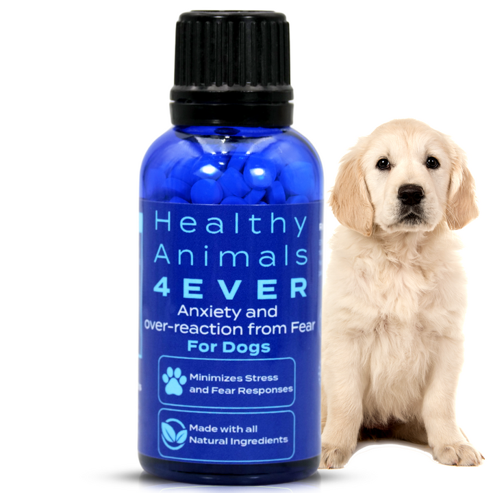 Anxiety and Over-Reaction from Fear Formula for Dogs, 300 Pellets, 30-Day Supply