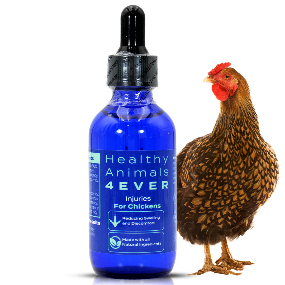 HEALTHYANIMALS4EVER ALL-NATURAL CHICKEN INJURY SUPPORT (Liquid)