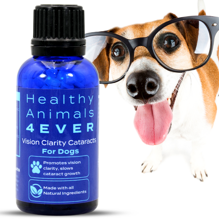 Vision Clarity/Cataracts Support Formula for Dogs, Triple Pack- Save 30%