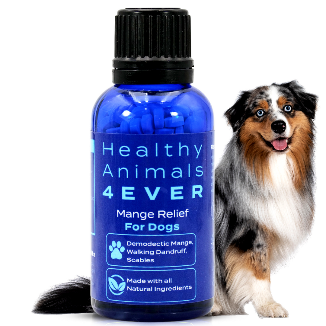 Mange Relief for Dogs - Treatment for Itchiness, Scabs, & Hair Loss Caused by Mites