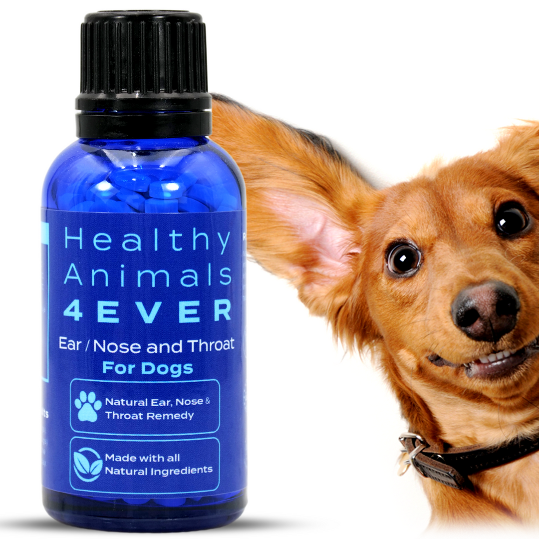 Ear Nose and Throat - Dogs Triple Pack- Save 30%