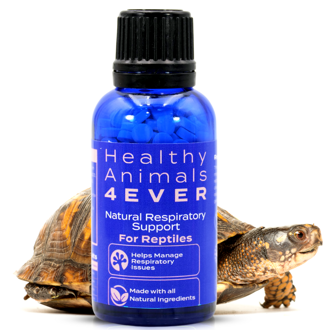 Natural Reptile Respiratory Support Six Pack- Save 50%