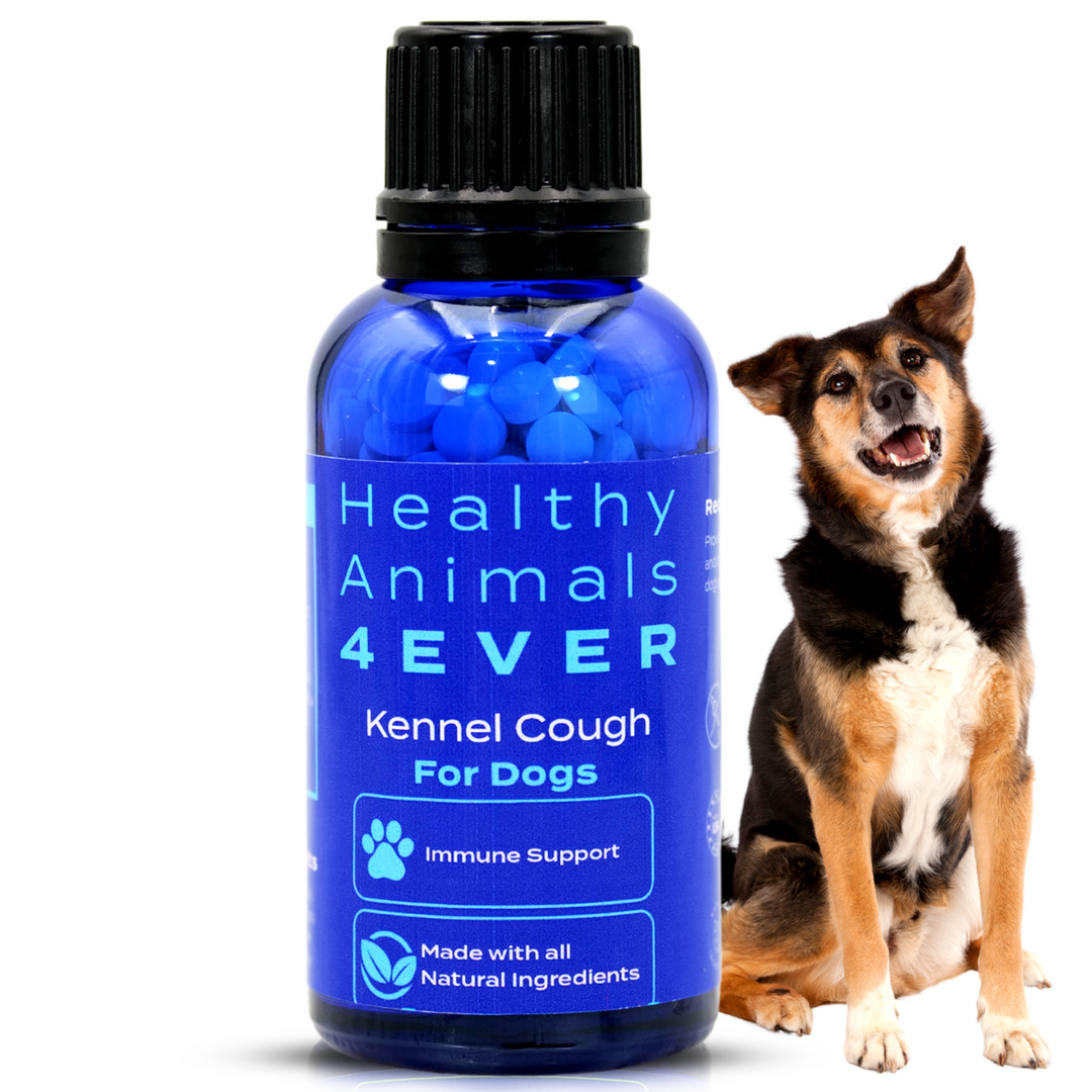 Kennel Cough Remedy