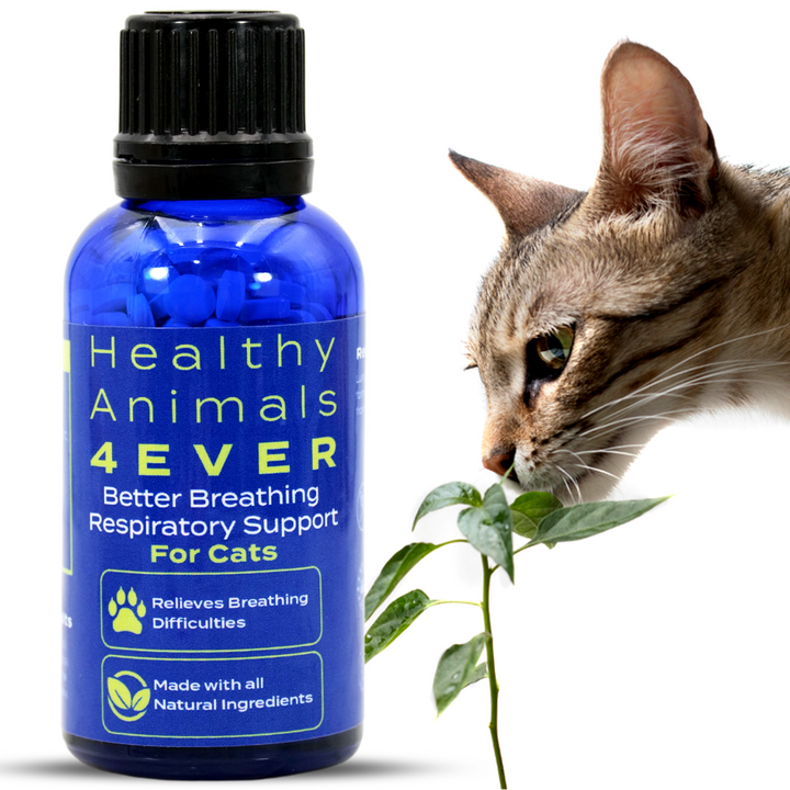 Better Breathing Respiratory Support Formula for Cats, Six Pack- Save 50%