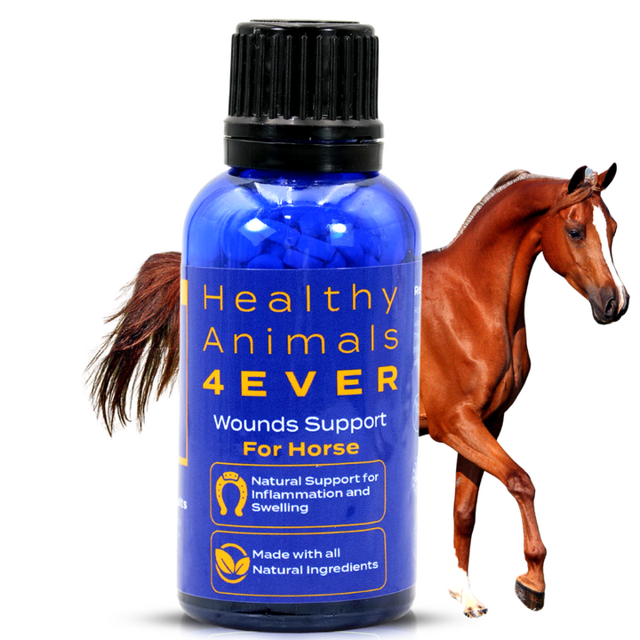 HORSE WOUNDS SUPPORT Triple Pack- Save 30%