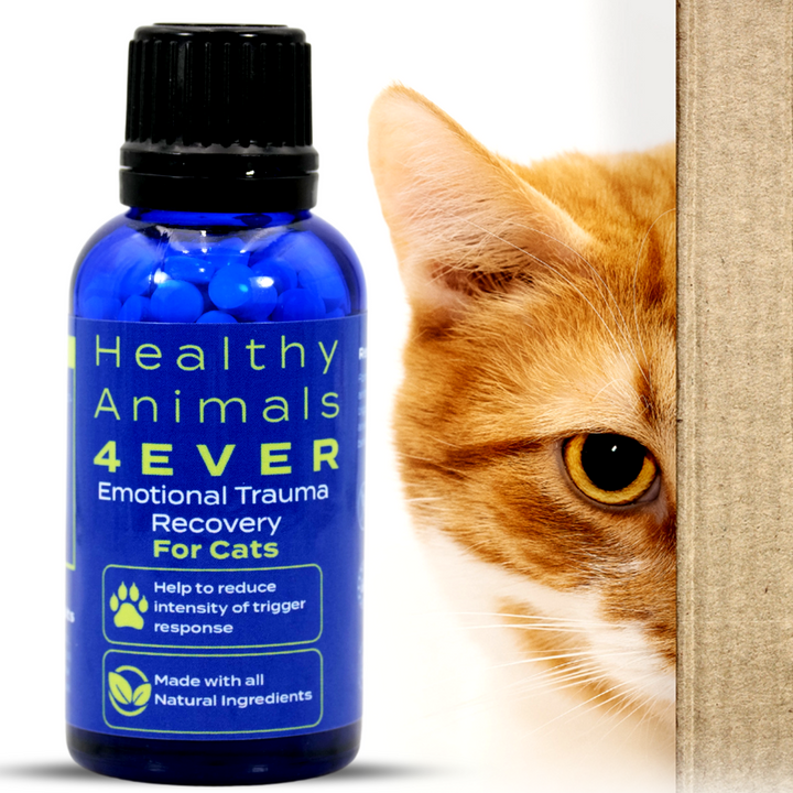 Emotional Trauma Recovery - Cats  Triple Pack- Save 30%