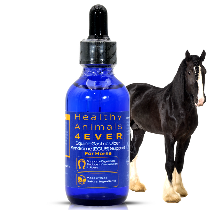 HORSE EQUINE GASTRIC ULCER SYNDROME SUPPORT (Liquid)