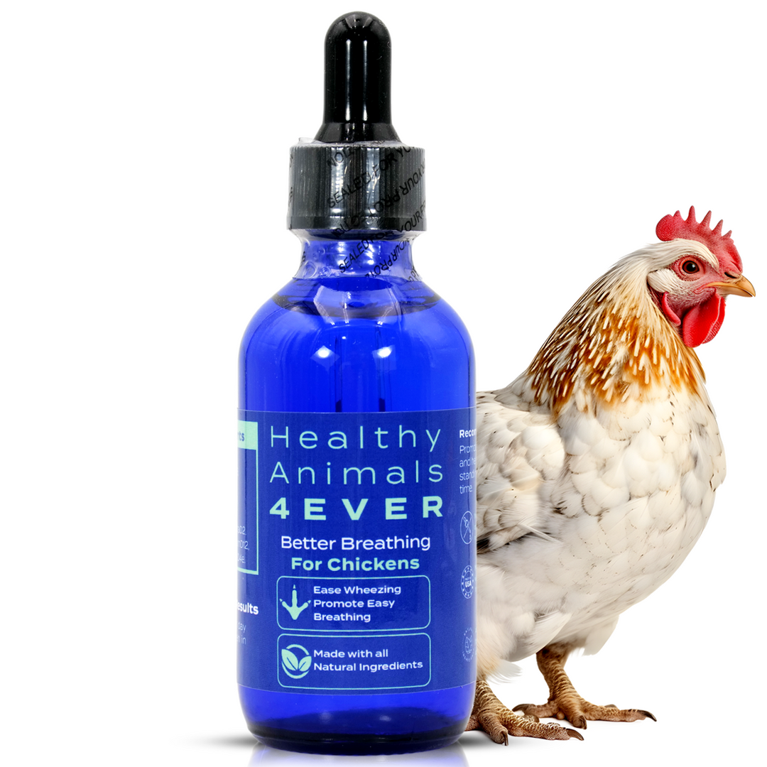 HEALTHYANIMALS4EVER ALL-NATURAL CHICKEN RESPIRATORY SUPPORT(Liquid)