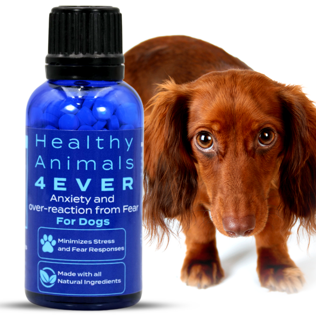 Anxiety and Over-Reaction from Fear Formula for Dogs, 300 Pellets, 30-Day Supply