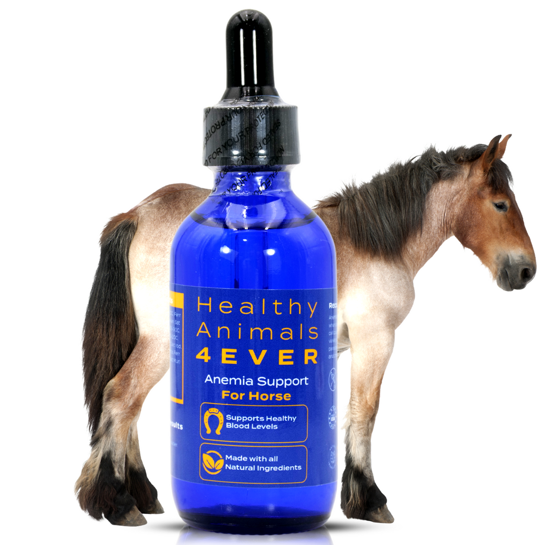 HORSE ANEMIA SUPPORT (Liquid)