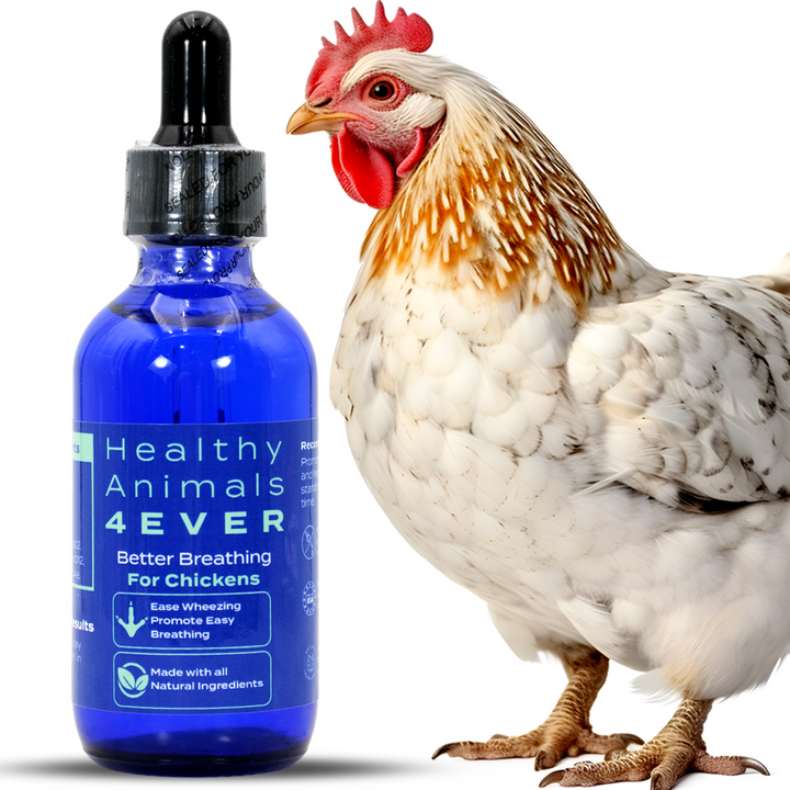 HEALTHYANIMALS4EVER ALL-NATURAL CHICKEN RESPIRATORY SUPPORT(Liquid)