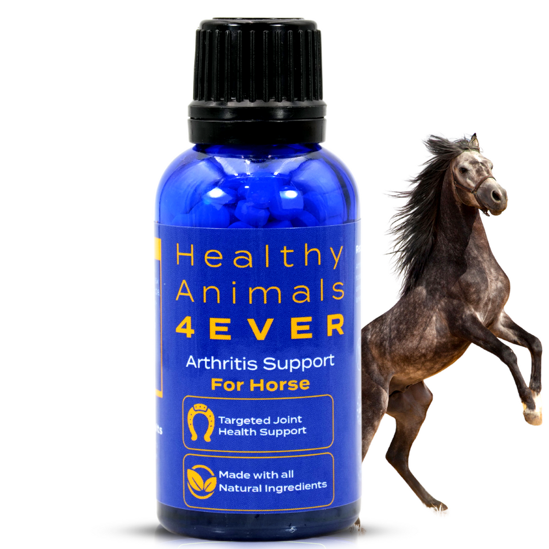 HORSE ARTHRITIS SUPPORT