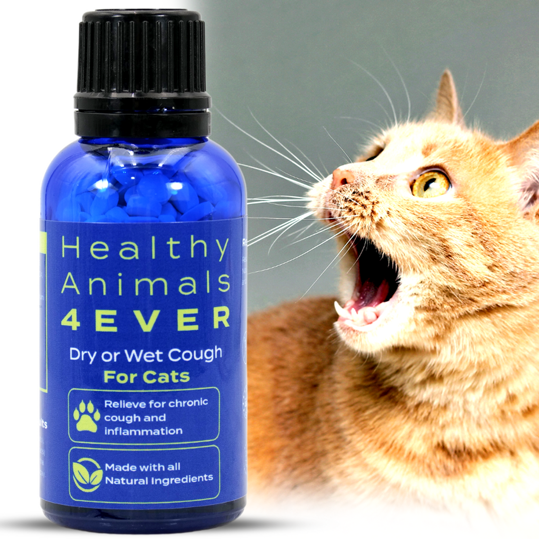 Dry or Wet Cough Formula for Cats,  Triple Pack- Save 30%