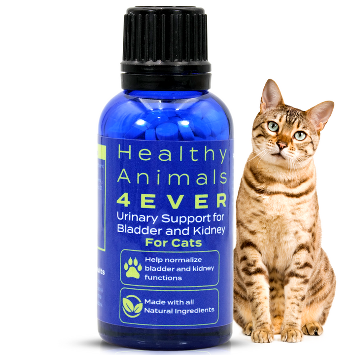 Urinary Support for Bladder and Kidney Formula for Cats, 300 Pellets,  Six Pack- Save 50%