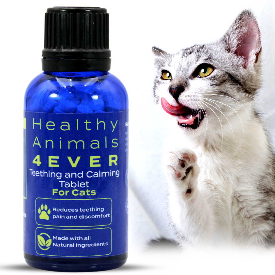 Teething Relief & Calming Formula for Cats,  Triple Pack- Save 30%