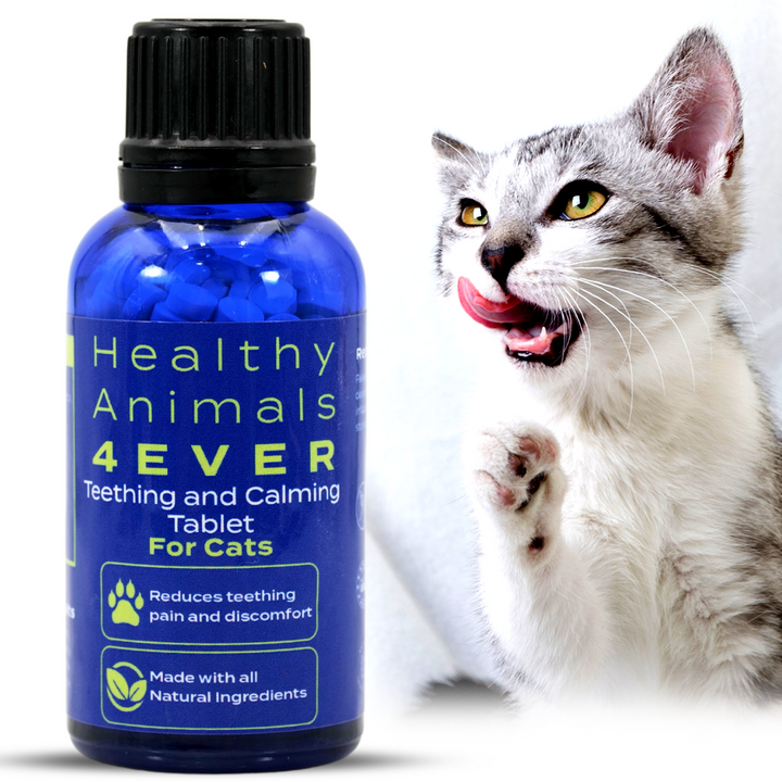 Teething Relief & Calming Formula for Cats, 300 Pellets, Six Pack- Save 50%