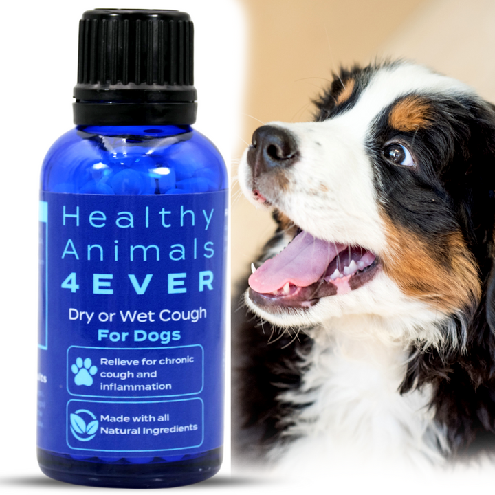 Dry or Wet Cough Formula for Dogs, 300 Tablets, 30-Day Supply