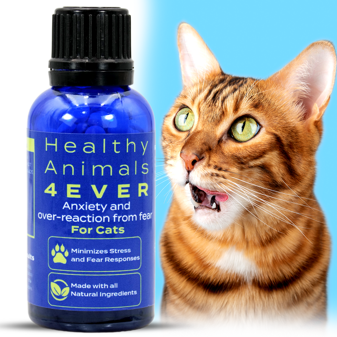 Anxiety and Over-Reaction from Fear Formula for Cats,  Six Pack- Save 50%