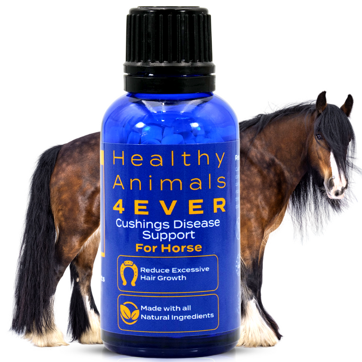 Horse Cushing Disease Support